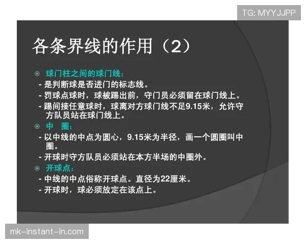 犯规判定规则详解：裁判如何判断动作违规与处罚标准